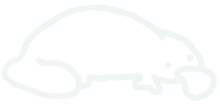 platypus clear line